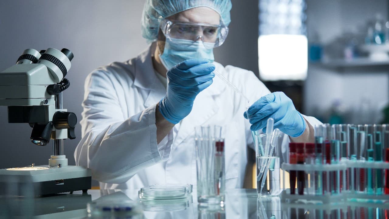 Assistência toxicológica